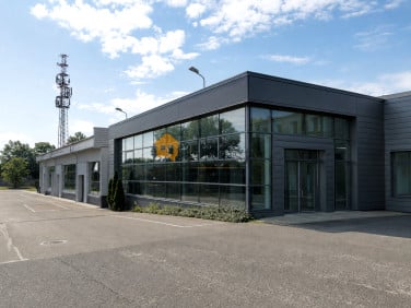 Lokal Legnica