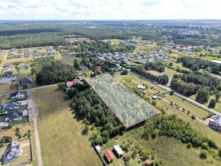 Zdjęcie 3