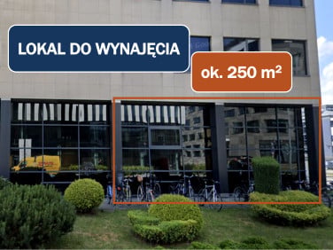 Lokal Kraków