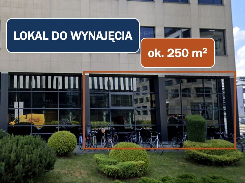 Lokal Kraków