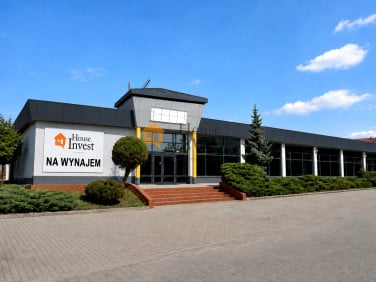 Lokal Polkowice
