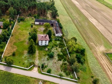Dom Włodzimierz sprzedaż