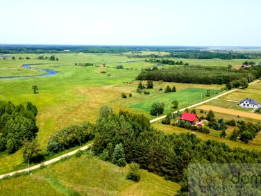 Działka Szafranki