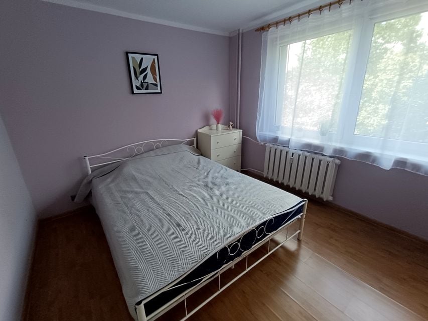 Zdjęcie 3
