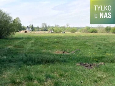 Działka Kuriany