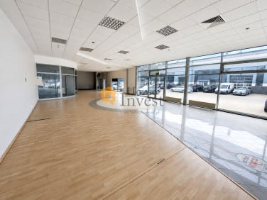 Lokal Legnica