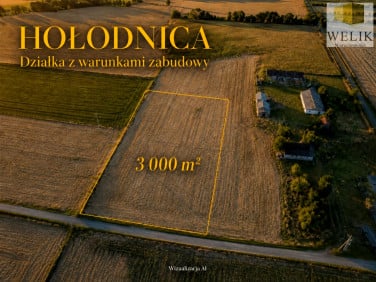 Działka Hołodnica