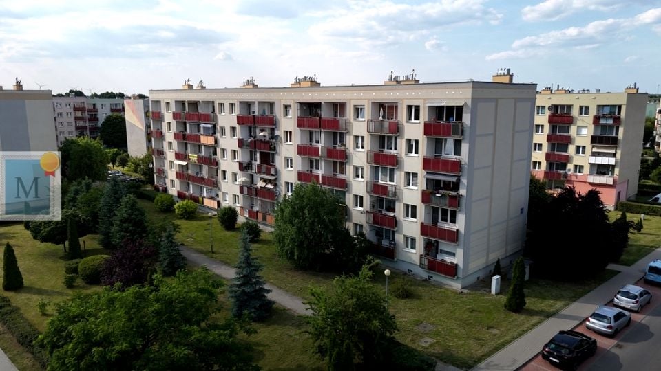 Zdjęcie 2
