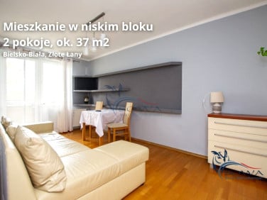 Mieszkanie Bielsko-Biała
