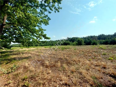 Działka budowlana Michałów
