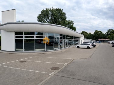 Lokal Legnica