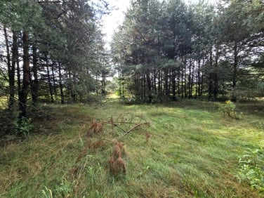 Działka budowlano-rolna Ożarowice