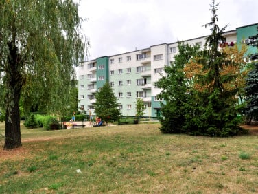 Mieszkanie Poznań wynajem