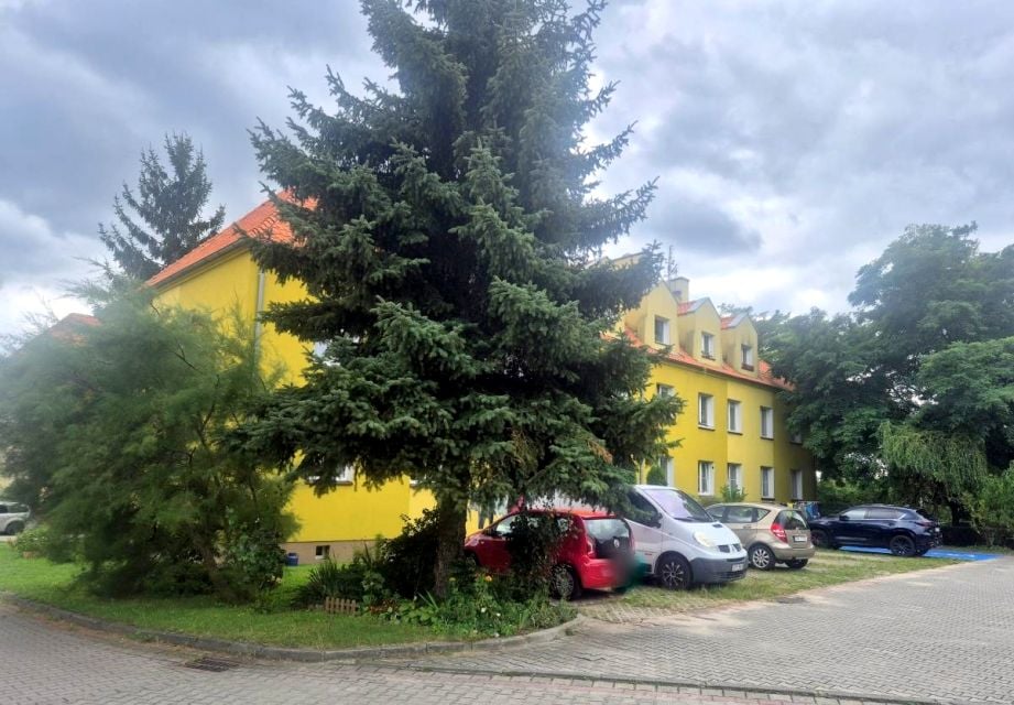 Zdjęcie 2