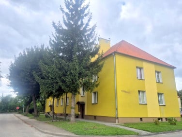 Mieszkanie Brzeg Dolny