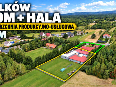 Lokal Wilków