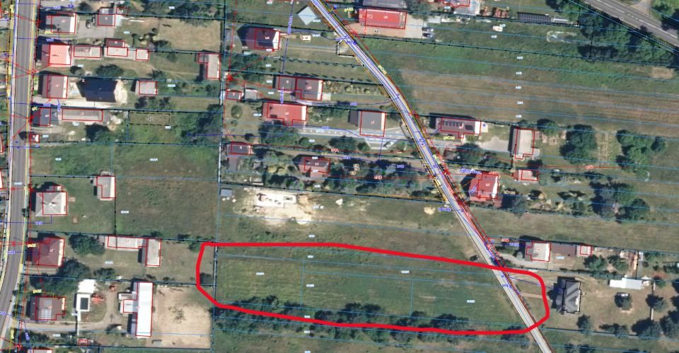 Zdjęcie 3