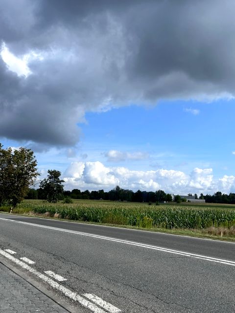 Zdjęcie 3