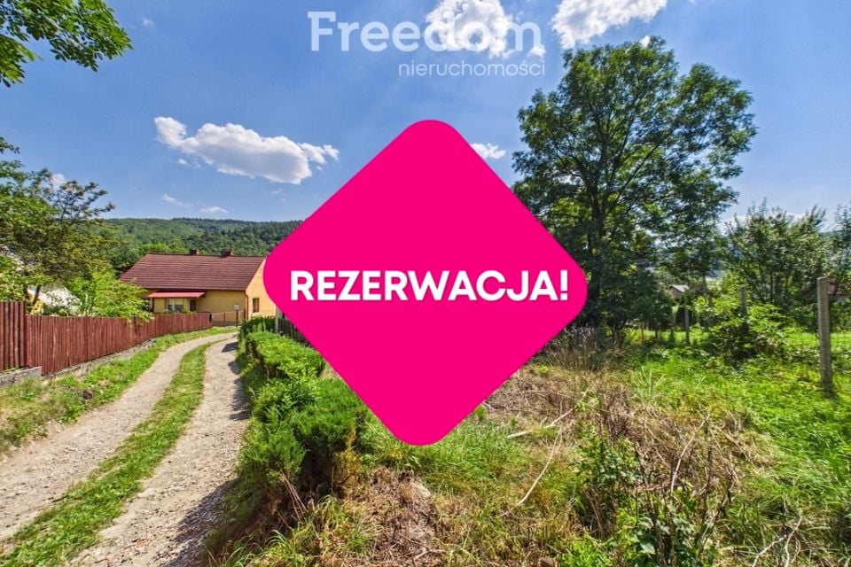 Zdjęcie 3