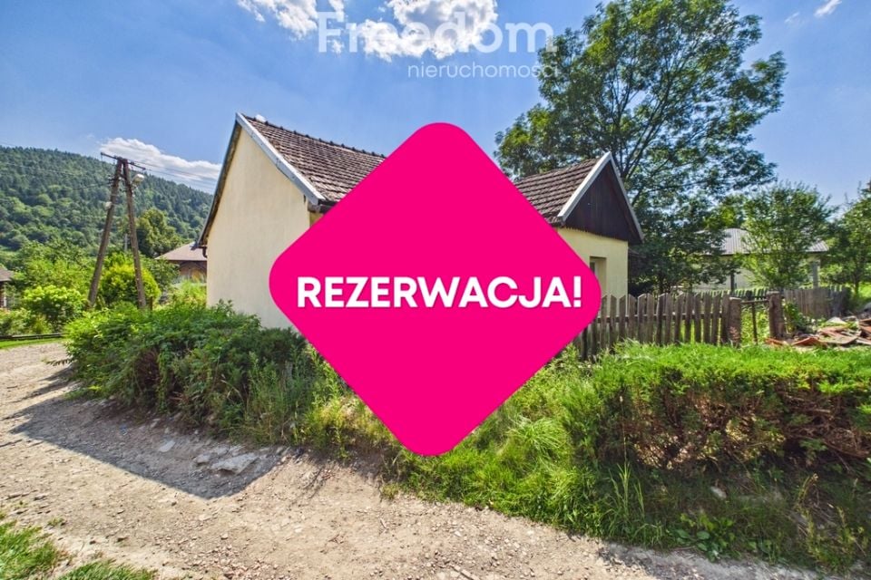 Zdjęcie 2