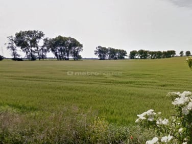 Działka Mosina