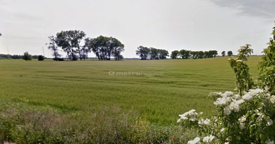 Działka Mosina