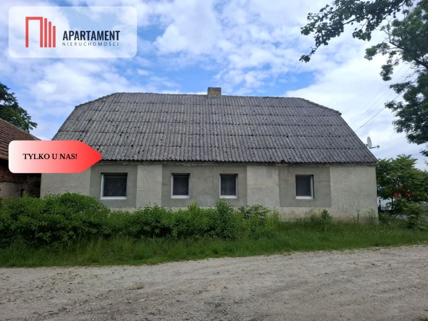 Zdjęcie 2