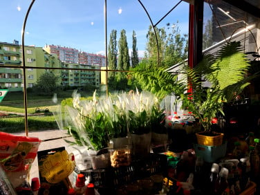 Lokal Wałbrzych
