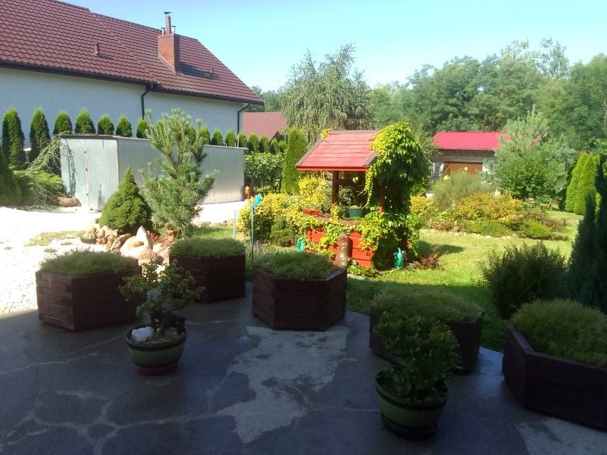 Zdjęcie 3