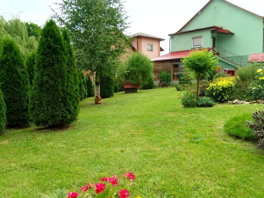 Zdjęcie 2