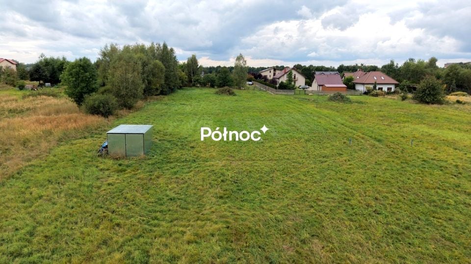 Zdjęcie 3