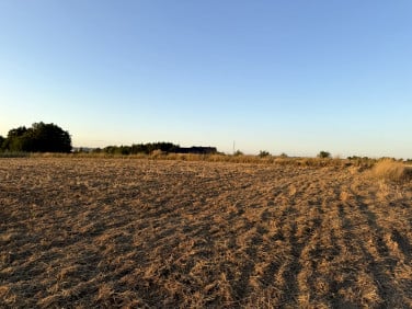 Działka rolna Niechobrz sprzedam
