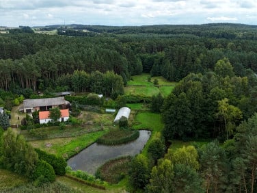 Dom Kobyla Góra