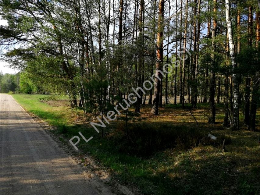 Działka Kąty-Borucza