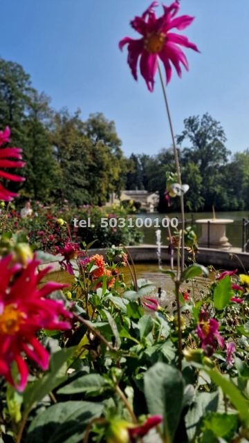 Mieszkanie Warszawa
