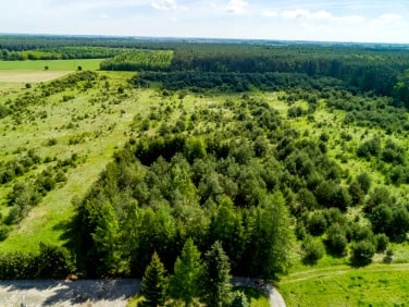 Działka przy lesie