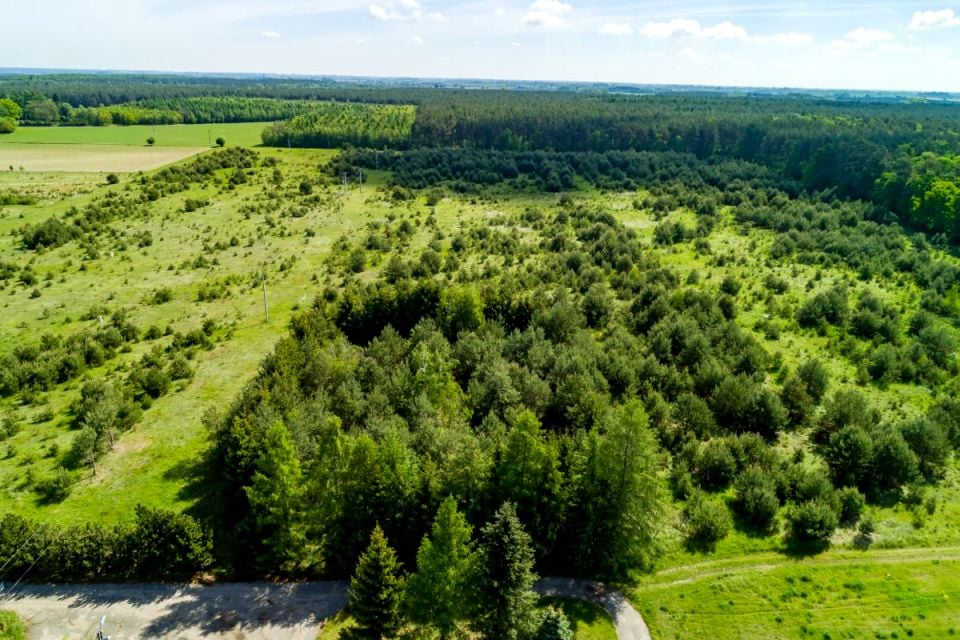 Działka przy lesie