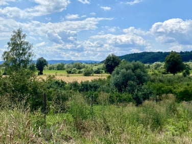 Działka leśna Janowice