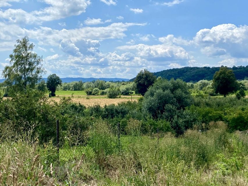 Działka leśna Janowice