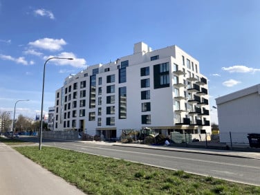 Lokal Warszawa