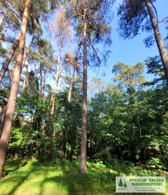 Działka budowlana Zalesie Górne