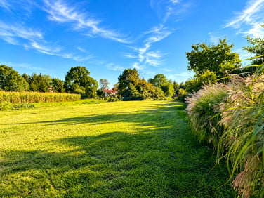 Działka Wilczków