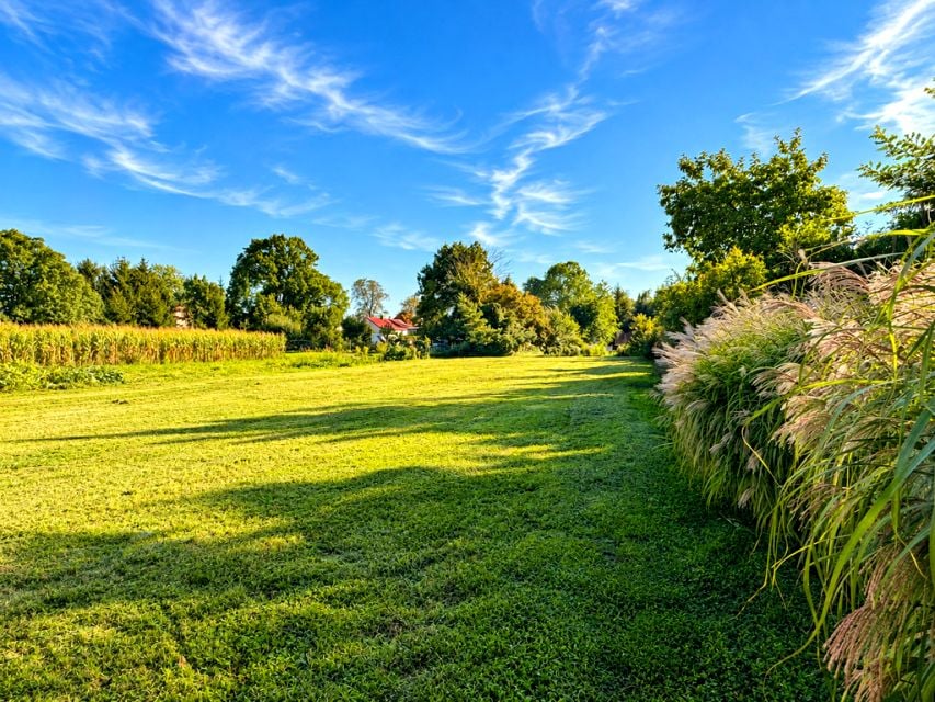 Działka Wilczków