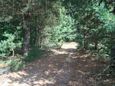 Działka nad rzeką