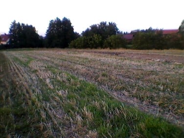 Działka usługowa Mikołów
