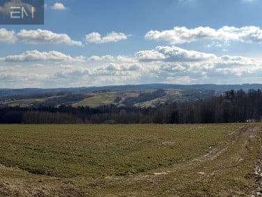 Działka rekreacyjna Zagorzyce