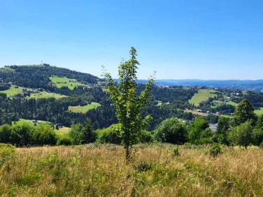 Działka budowlano-rolna Koniaków