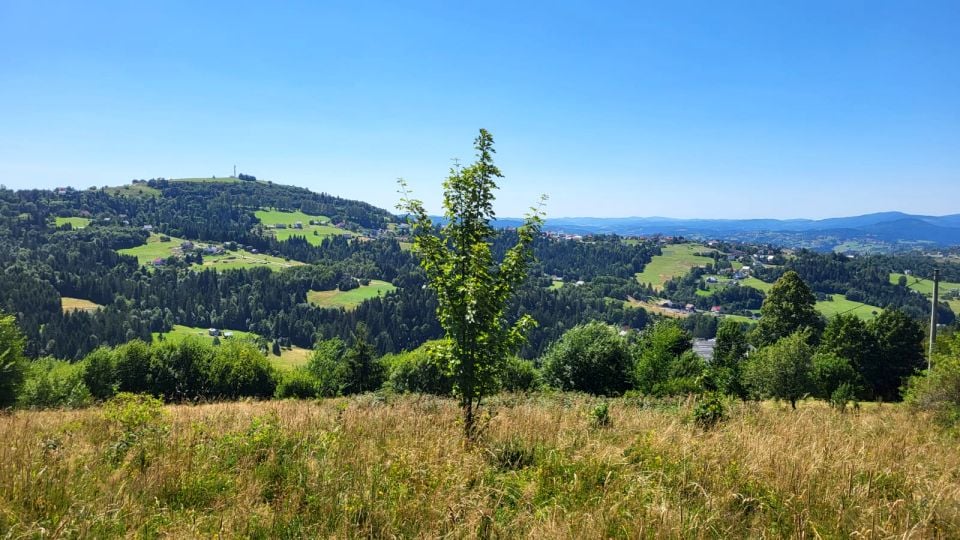 Działka budowlano-rolna Koniaków