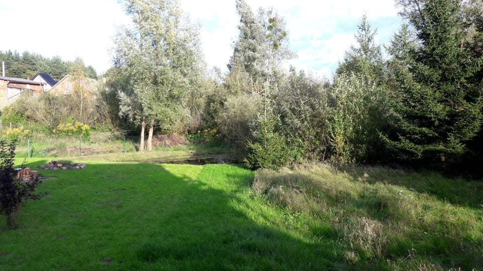 Działka budowlana Cis