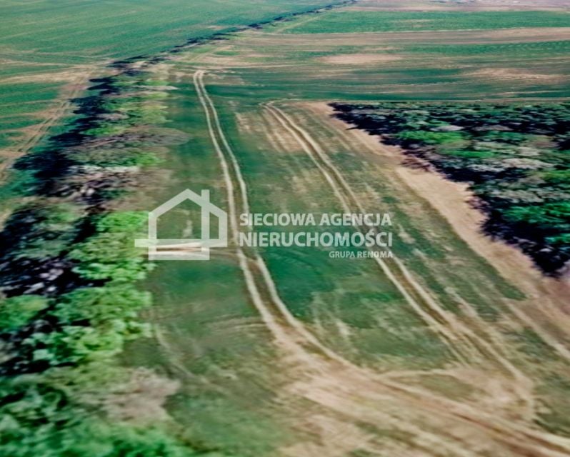 Działka rolna Bychowo